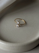 Load image into Gallery viewer, Blossom