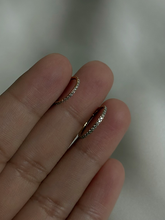 Load image into Gallery viewer, Conch (SS)