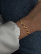 Load image into Gallery viewer, Rigel
