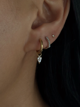 Load image into Gallery viewer, Pavo (SS)
