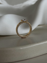 Load image into Gallery viewer, Ursa
