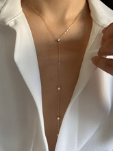 Load image into Gallery viewer, Tansy
