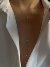 Load image into Gallery viewer, Tansy
