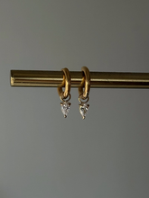 Load image into Gallery viewer, Pavo (SS)
