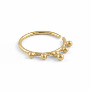 Aditi Nose Ring